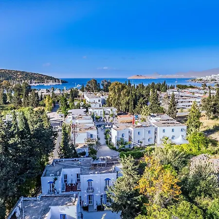 بالوما فاميلي كلوب