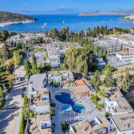 Hotell Paloma Family Club