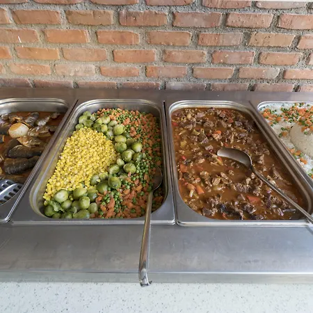 بالوما فاميلي كلوب