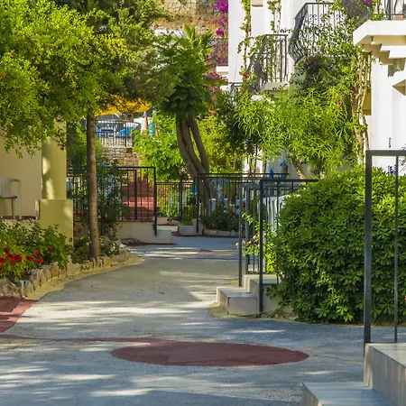 بالوما فاميلي كلوب 4* بيتيس