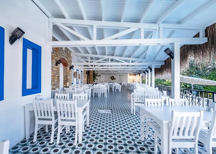 Paloma Family Club 4*