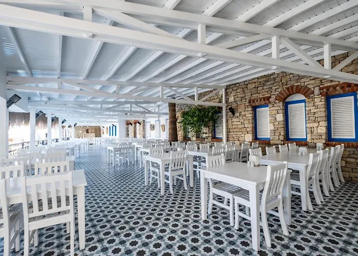 Paloma Family Club 4* Bitez