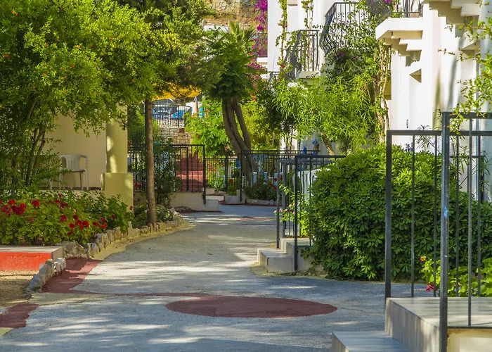 Paloma Family Club 4* Bitez